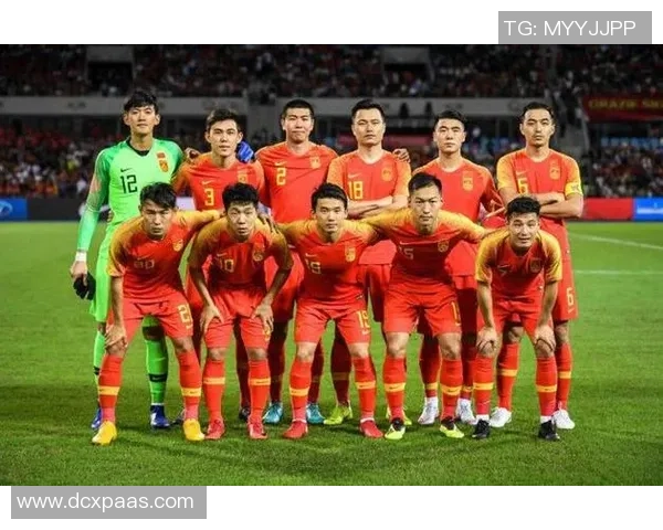 中国足球一线球星年薪揭秘 top球员收入差距巨大薪酬情况深度分析