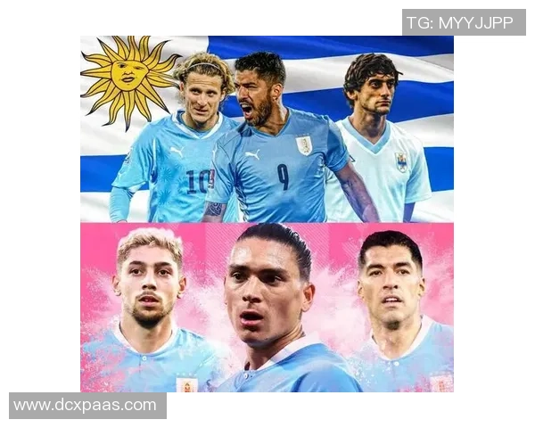 足球四字球星名字大全盘点从传奇到现役的顶尖球员汇聚